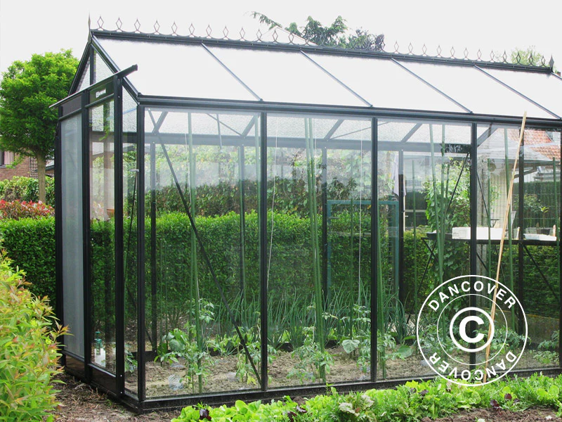 ACD Drivhus glas, FLORA 11,3m², 3,06x3,71x2,59m, Sort - Image 11