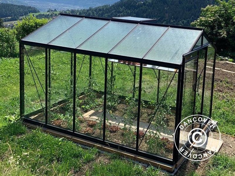 ACD Drivhus glas, FLORA 8,6m², 2,32x3,71x2,35m, Sort - Image 3
