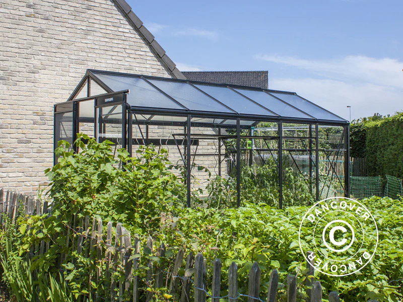 ACD Drivhus glas, FLORA 8,6m², 2,32x3,71x2,35m, Sort - Image 4