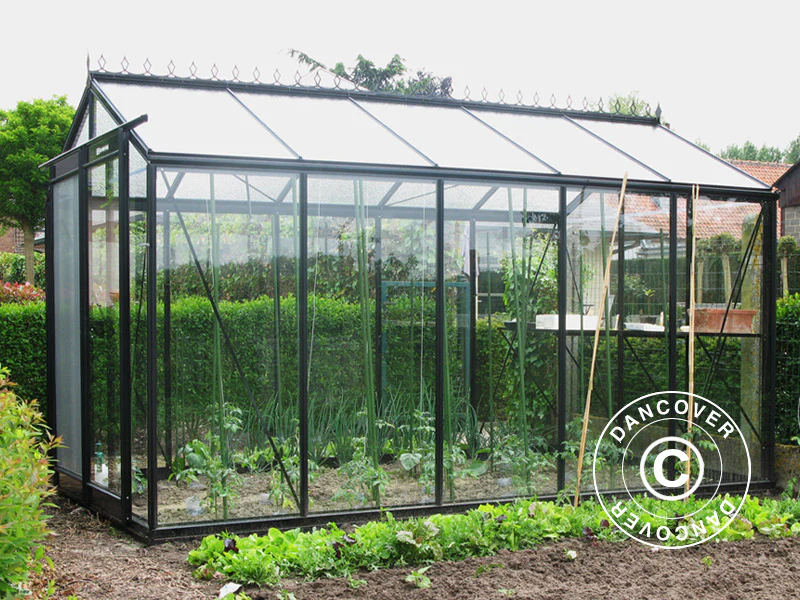 ACD Drivhus glas, FLORA 8,6m², 2,32x3,71x2,35m, Sort - Image 5