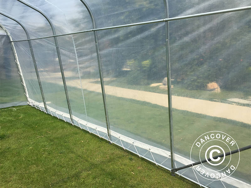 Polytunnel Drivhus, 3,6x7,2x2,68m, PE, 25,92m², Transparent - Image 7