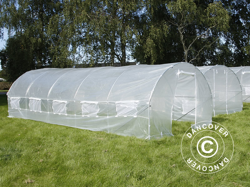 Polytunnel Drivhus 3x8x2m, 24m², Transparent - Image 2