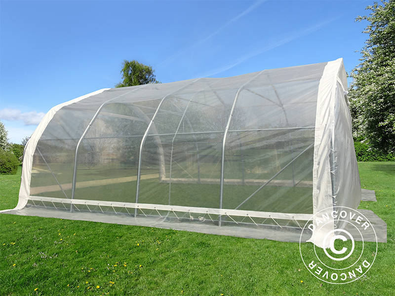 Polytunnel Drivhus, 5,4x6x2,9m, PE, 32,4m², Transparent - Image 5