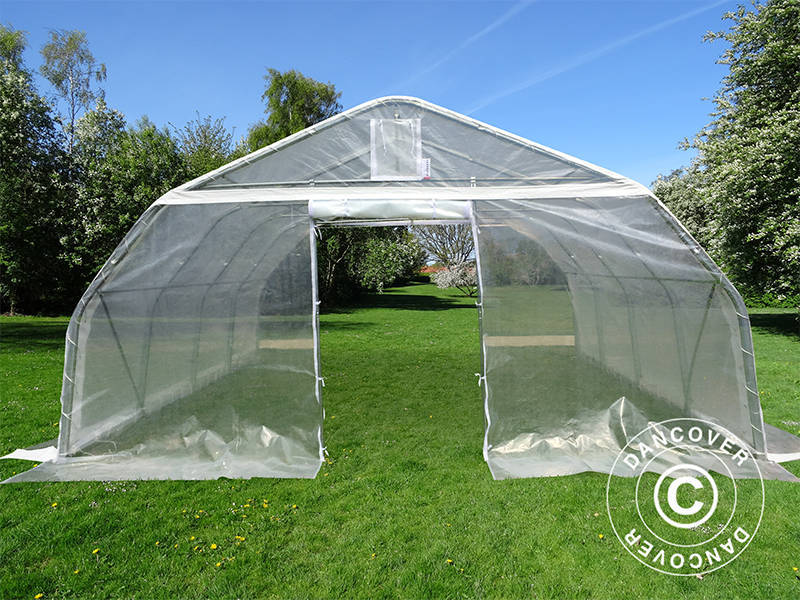 Polytunnel Drivhus, 5,4x6x2,9m, PE, 32,4m², Transparent - Image 6