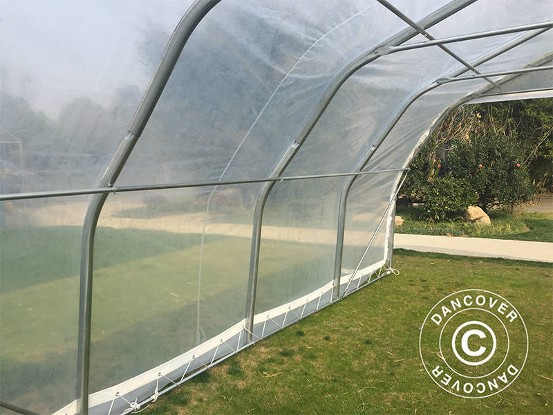 Polytunnel Drivhus, 5,4x6x2,9m, PE, 32,4m², Transparent - Image 8