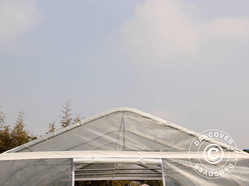 Polytunnel Drivhus, 5,4x6x2,9m, PE, 32,4m², Transparent - Image 9