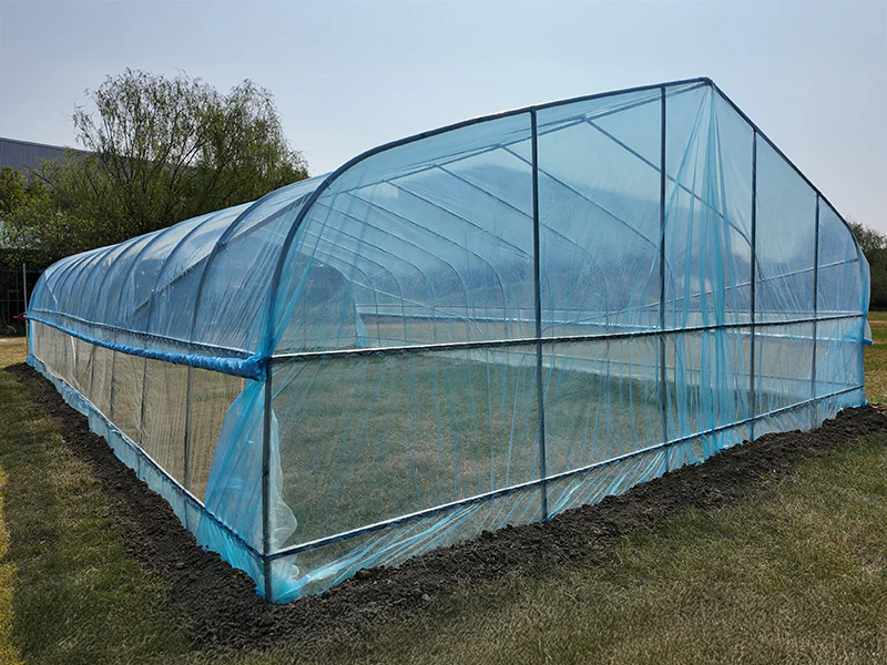 Polytunnel drivhus, 6x20x2,5m, 100-micron PO film, Transparent - Image 4